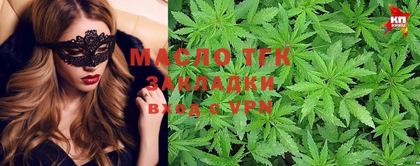 сатива Беломорск