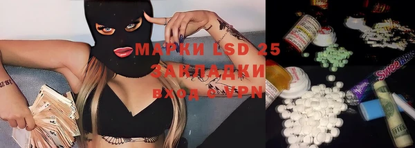 бошки Белокуриха