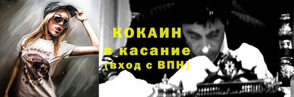 сатива Беломорск