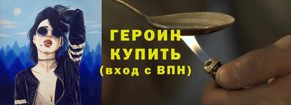 сатива Беломорск