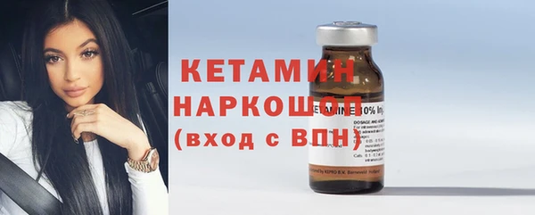сатива Беломорск