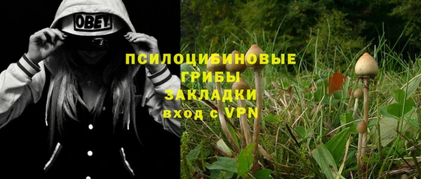 дживик Белоозёрский