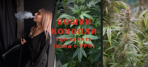 бошки Белокуриха