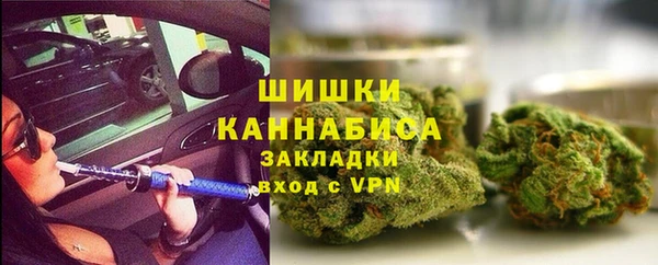 сатива Беломорск