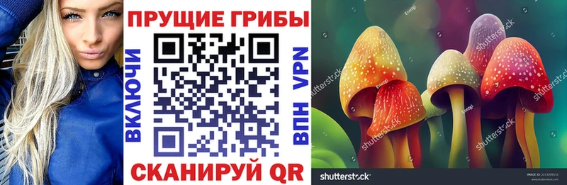 МЕГА tor  Сланцы  Псилоцибиновые грибы MAGIC MUSHROOMS 
